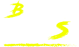 Logo Braga Boys